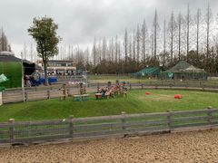 -前小桔亲子创意农场·草莓采摘·露营烧烤