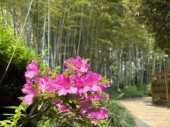 -苏州河梦清园环保主题公园