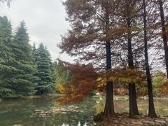 -洛阳市隋唐城遗址植物园