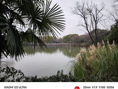 -西溪国家湿地公园