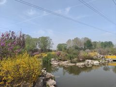 -石家庄市植物园