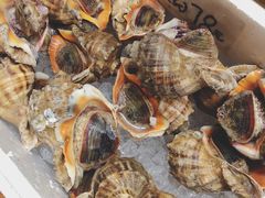 -胶东海鲜大排档(北太平庄店)
