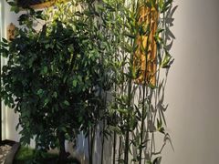 -壹零捌道·北京烤鸭(车公庄店)