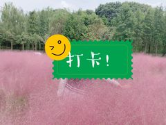 -同里国家湿地公园