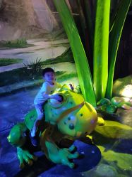 -宝燕乐园(闵行旗舰店)