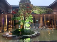 -上海崇明金茂凯悦酒店