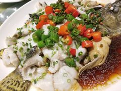 特色鲈鱼-陶缘一号·四季缘·老字号顺德菜·户外婚礼家宴(西滘店)
