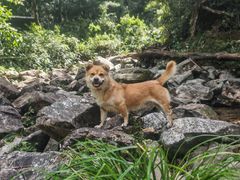 -楠溪江风景名胜区