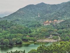 -深圳仙湖植物园