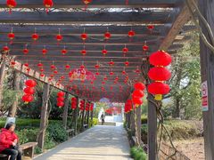 -白马涧龙池景区