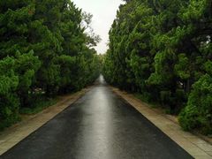 -八大关景区