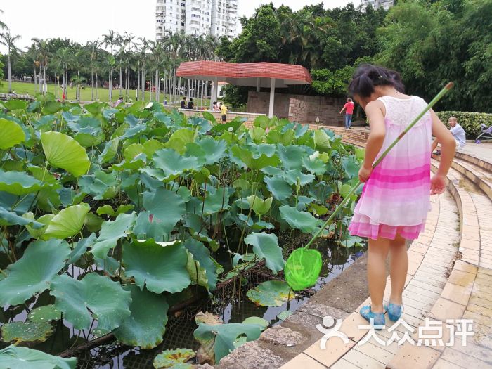 蓮花公園-圖片-廈門周邊遊-大眾點評網