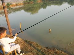 -武汉开心果园农业发展有限公司