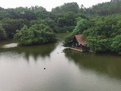 -广州长隆野生动物世界