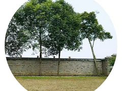 -金谷域澳洲庄园