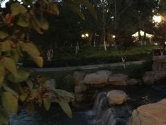 -西海子公园