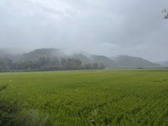 -南泥湾风景区