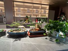 -Sips&Lick茶兰咖啡(五道口店)