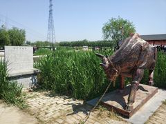 -白洋淀景区
