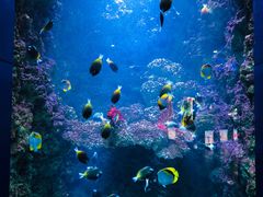 -海合安青岛极地海洋公园