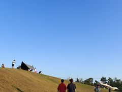 -春花秋色城市公园