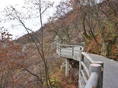 -少华山国家森林公园