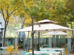 -香港狮子山下·明星粤菜餐厅(北苑店)