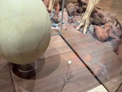 -新加坡飞禽公园