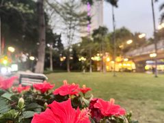 -白天鹅宾馆·月兔吧