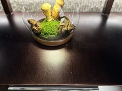 -芸山季·云南山珍菌火锅(人民广场来福士店)