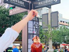 -宫燕府·京菜·烤鸭·淮扬菜(王府中心店)