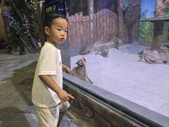 -南昌海洋公园