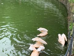 -黔灵山公园