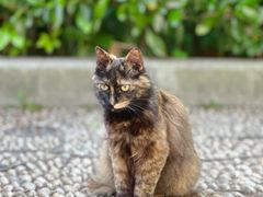 -复旦大学附属华山医院(总院)