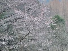 -小格里自然风景区