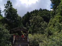 -苏木山森林公园
