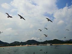 -海驴岛(荣成市)
