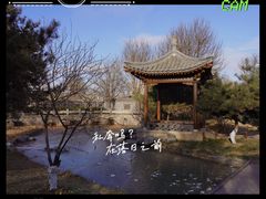 -三里河公园