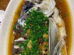 酱椒水库鱼头-大灶头·新昌菜(中国茶市店)