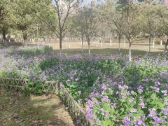 -白塘生态植物园