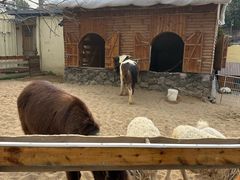 -HERRE·FARM 赫尔露营农场·团建聚会包场