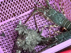 -班赞海鲜市场