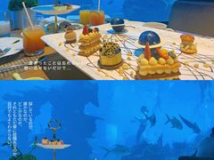 -涛·海底餐厅·美人鱼·自助餐·海底隧道(三亚海棠湾洲际度假酒店)