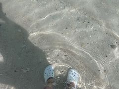 -东姑阿都拉曼海洋公园