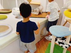 -COLOR PETS 撸猫馆·购猫·猫咖(长风大悦城店)