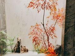 -阿五黄河大鲤鱼(纬三路店)