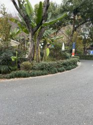 -爱你宝贝儿童摄影(西湖云端店)