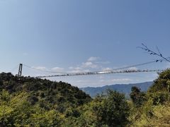 -南丹山森林王国