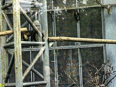 -苏州上方山国家森林公园