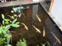 -Cục Gạch Quán